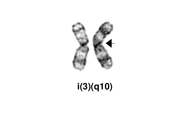 i(3)(q10)