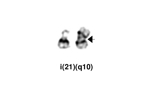 i(21)(q10)