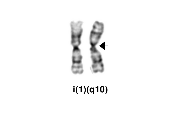i(1)(q10)