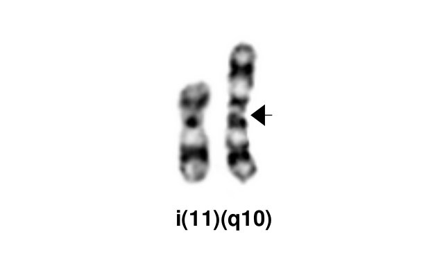 i(11)(q10)
