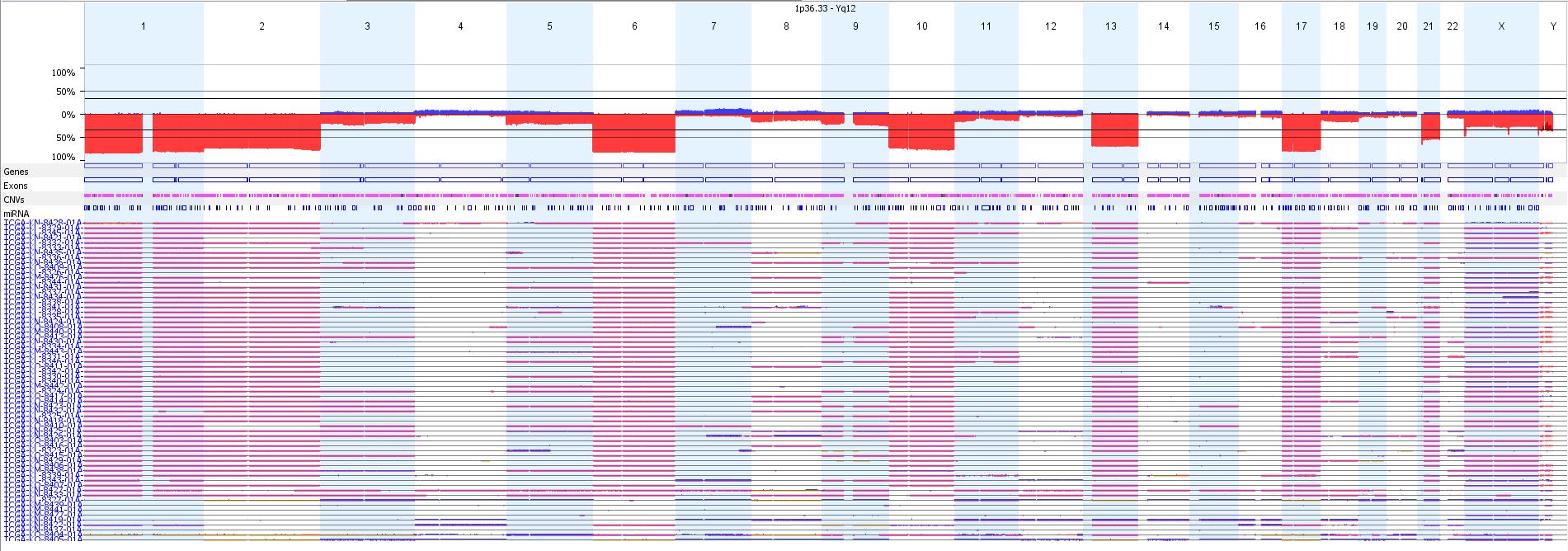 TCGA Chromophobe RCC copy number profile
