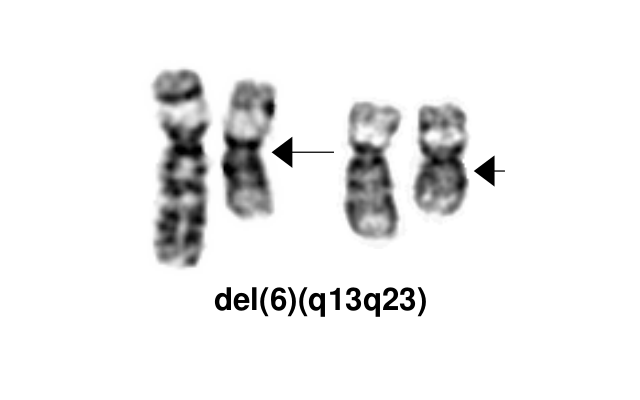 del(6)(q13q23)