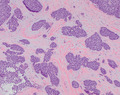 Thumbnail for version as of 17:15, 9 November 2023