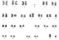 Thumbnail for version as of 22:47, 24 November 2021