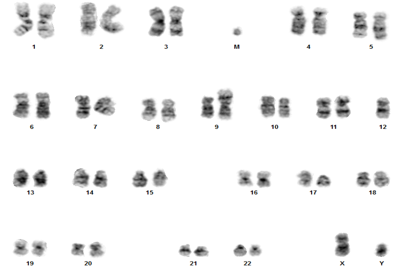 File:Dic(9 12).tif