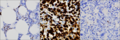 Thumbnail for version as of 18:25, 21 June 2023