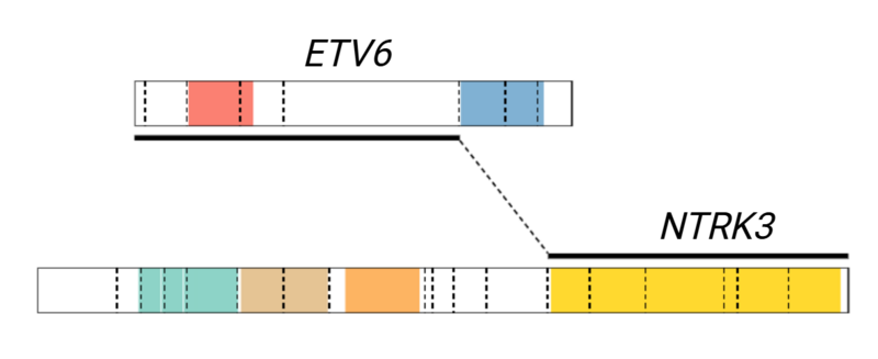 File:ETV6-NTRK3 fusion diagram.tif